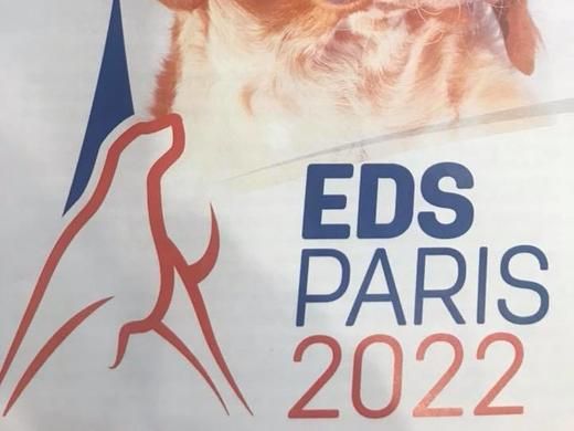 L'ouari de combescure - Championnat d'Europe du chien de race en 2022 en France